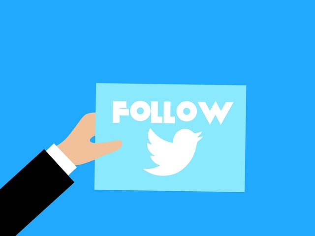 Une personne tenant une carte avec le mot "FOLLOW" au-dessus du logo de l'oiseau de Twitter.