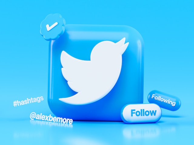 Twitterの鳥のロゴのイラスト。右下にフォローとフォロワーのボタンがある。