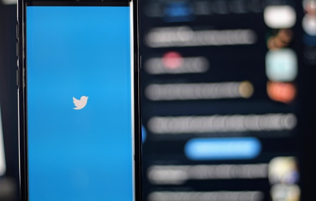 Un smartphone afișează pasărea Twitter pe ecran.
