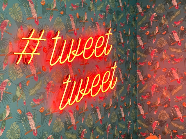Üzerinde hash sembolü ve "Tweet Tweet" yazan kırmızı bir neon tabela ve kuşlarla dolu bir duvar kağıdı.